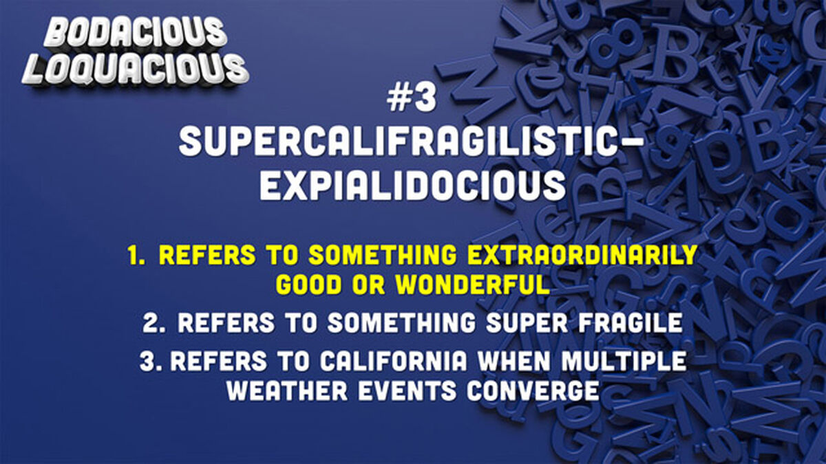 Bodacious Loquacious image number null